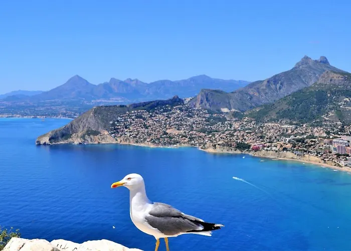 Maryvilla 0306 Villa *