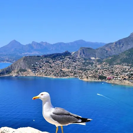 Maryvilla 0306 Villa *